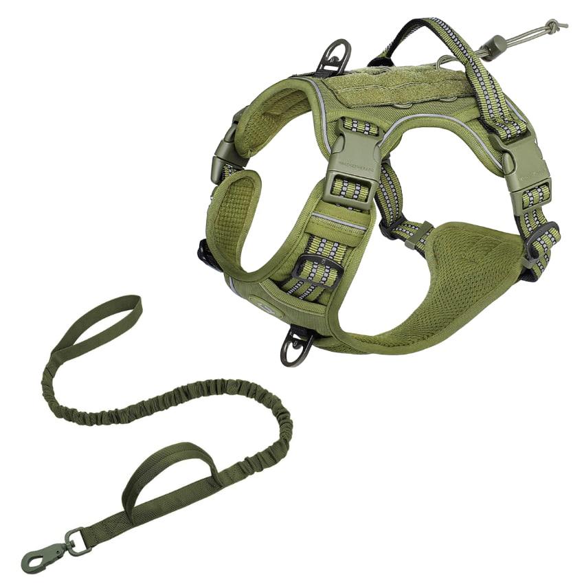 Pathfinder Harness