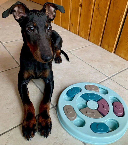 Interactive Treat Puzzle Toy