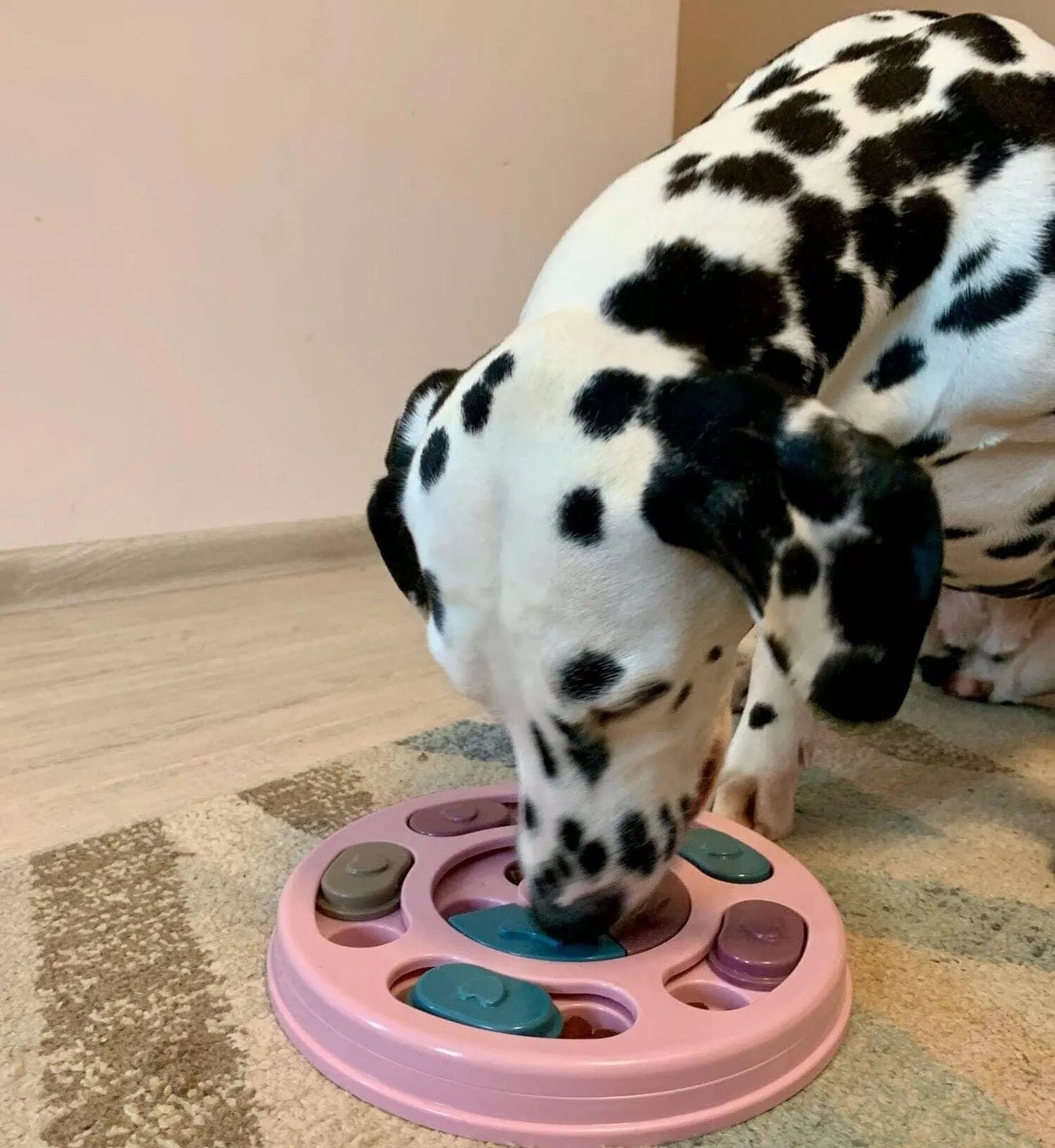 Interactive Treat Puzzle Toy