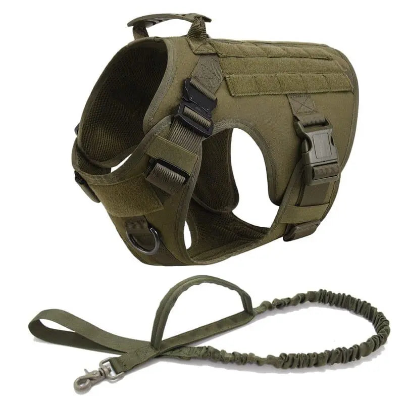 Recon Harness & Tactical Set