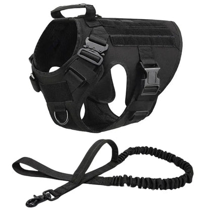 Recon Harness & Tactical Set