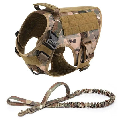 Recon Harness & Tactical Set