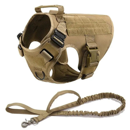 Recon Harness & Tactical Set