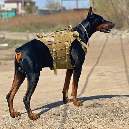 Torpedo Harness