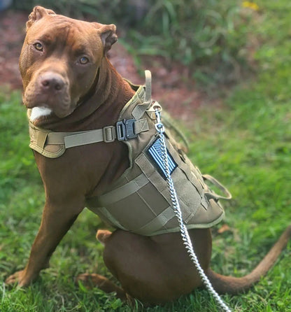Torpedo Harness