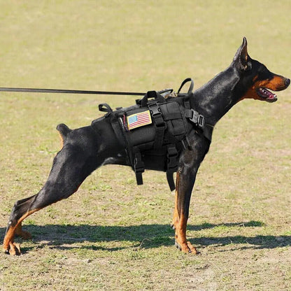 Torpedo Harness