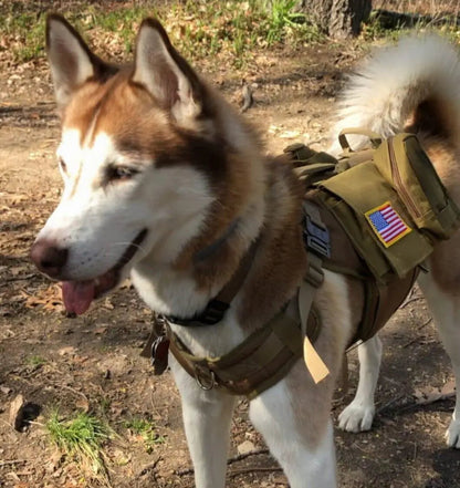 Torpedo Harness
