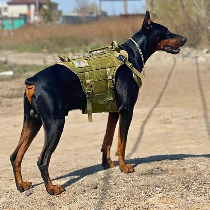 Torpedo Harness