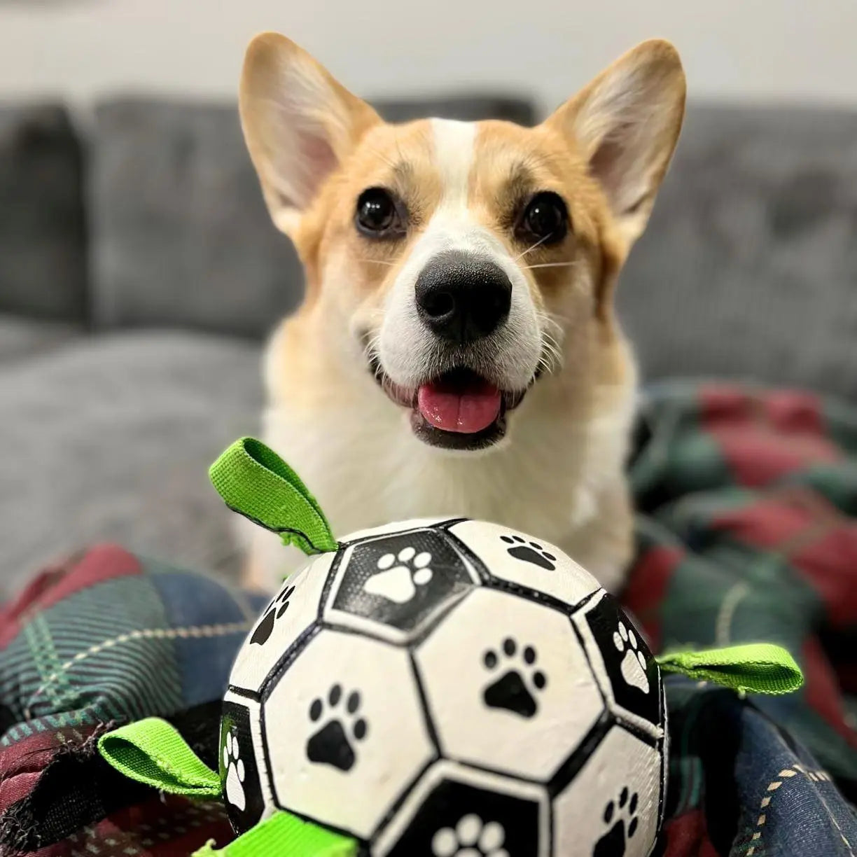 OnePaw Grab Tab Soccer Ball
