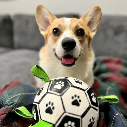 OnePaw Grab Tab Soccer Ball