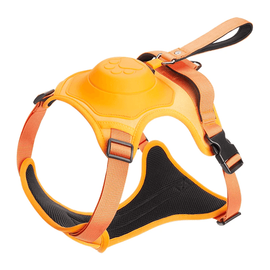 Rover Integrated 2-1 Harness