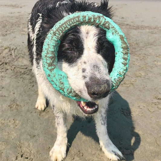 Outdoor Beach Frisbee