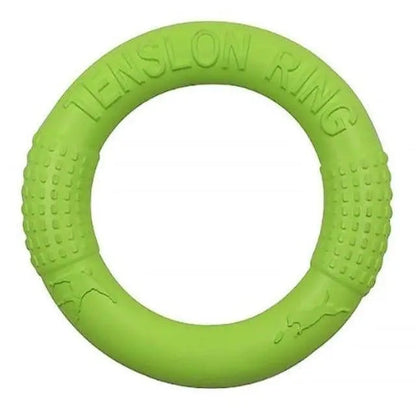 Outdoor Beach Frisbee