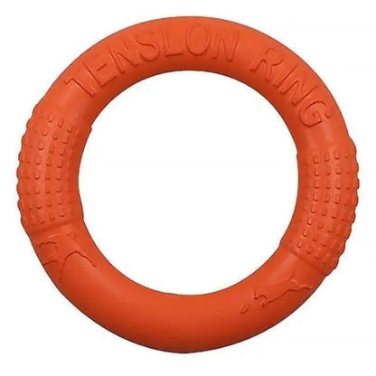 Outdoor Beach Frisbee
