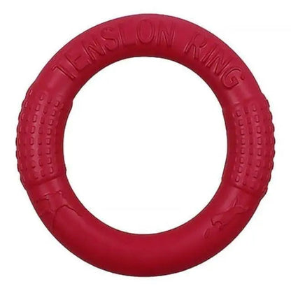 Outdoor Beach Frisbee