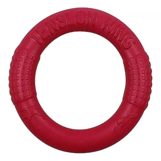 Outdoor Beach Frisbee