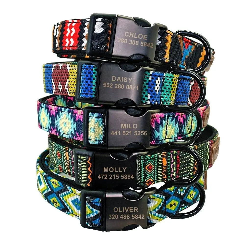 Custom Multi-Coloured Collar & Leash Set