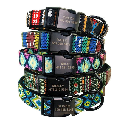 Custom Multi-Coloured Collar & Leash Set