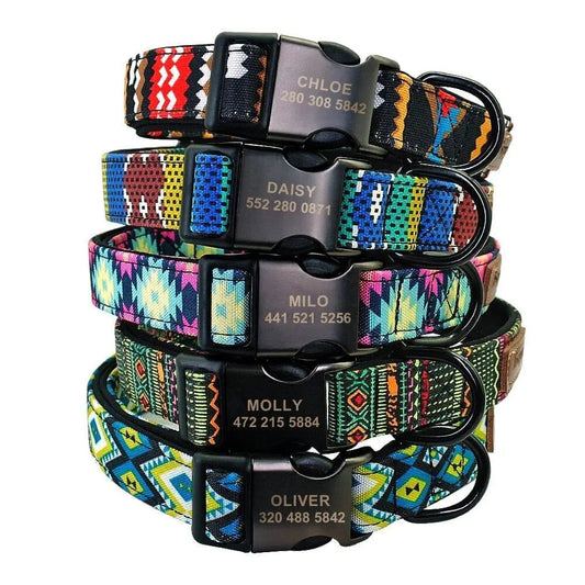 Custom Multi-Coloured Collar & Leash Set