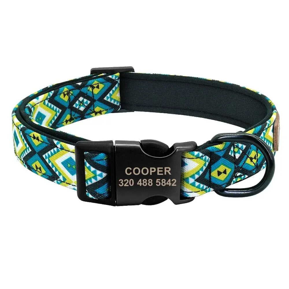 Custom Multi-Coloured Collar & Leash Set