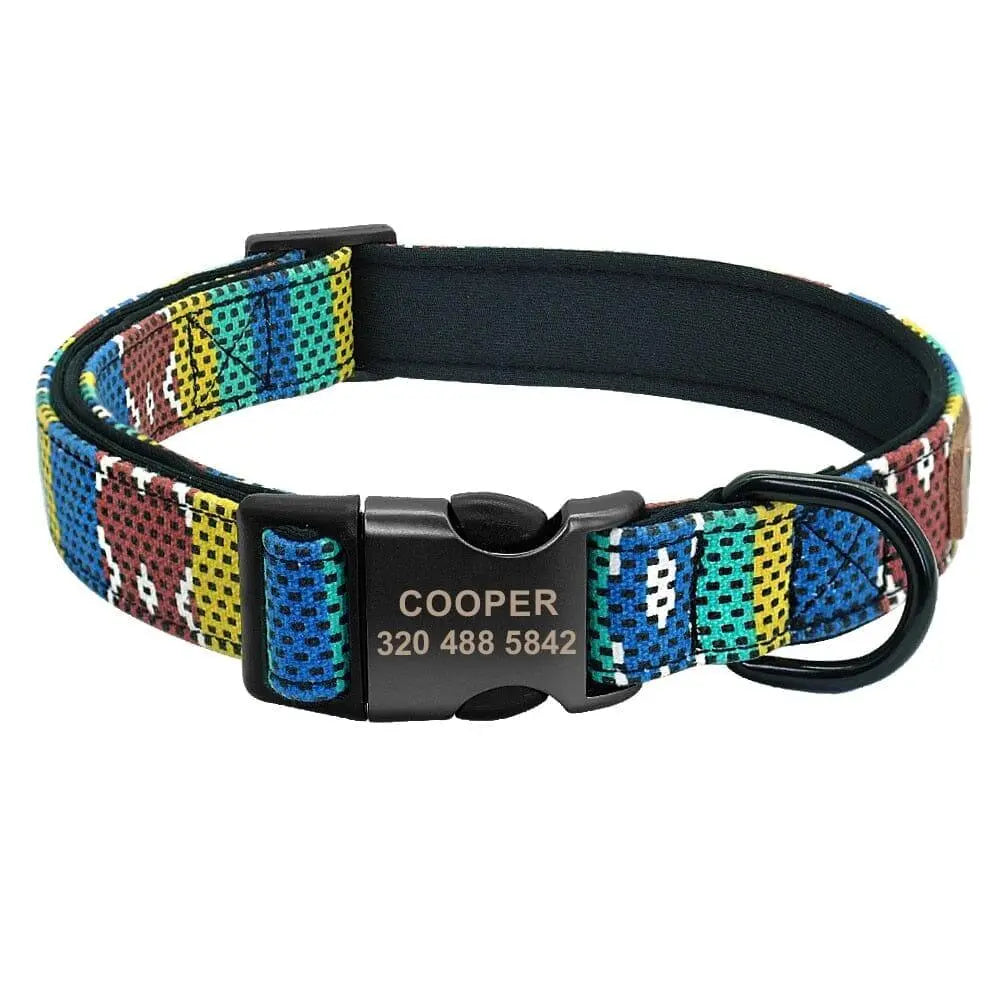Custom Multi-Coloured Collar & Leash Set