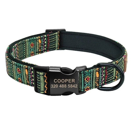 Custom Multi-Coloured Collar & Leash Set