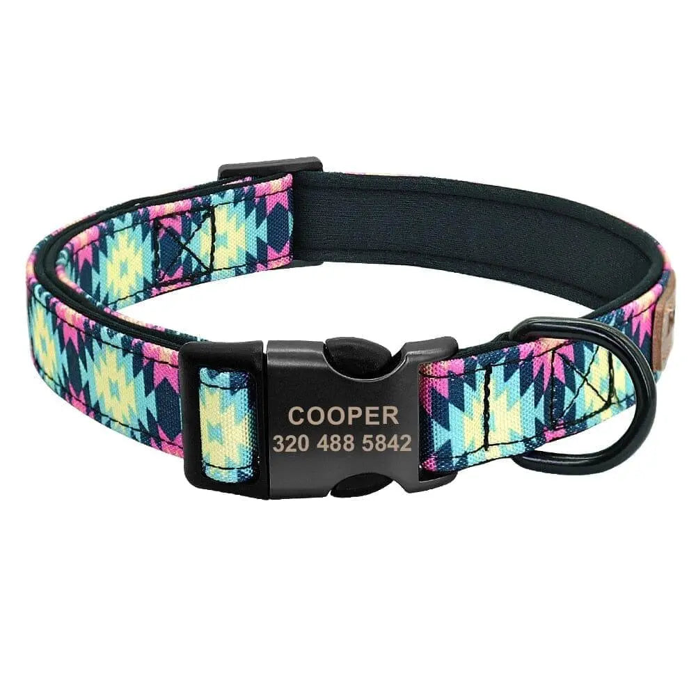 Custom Multi-Coloured Collar & Leash Set