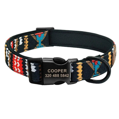 Custom Multi-Coloured Collar & Leash Set