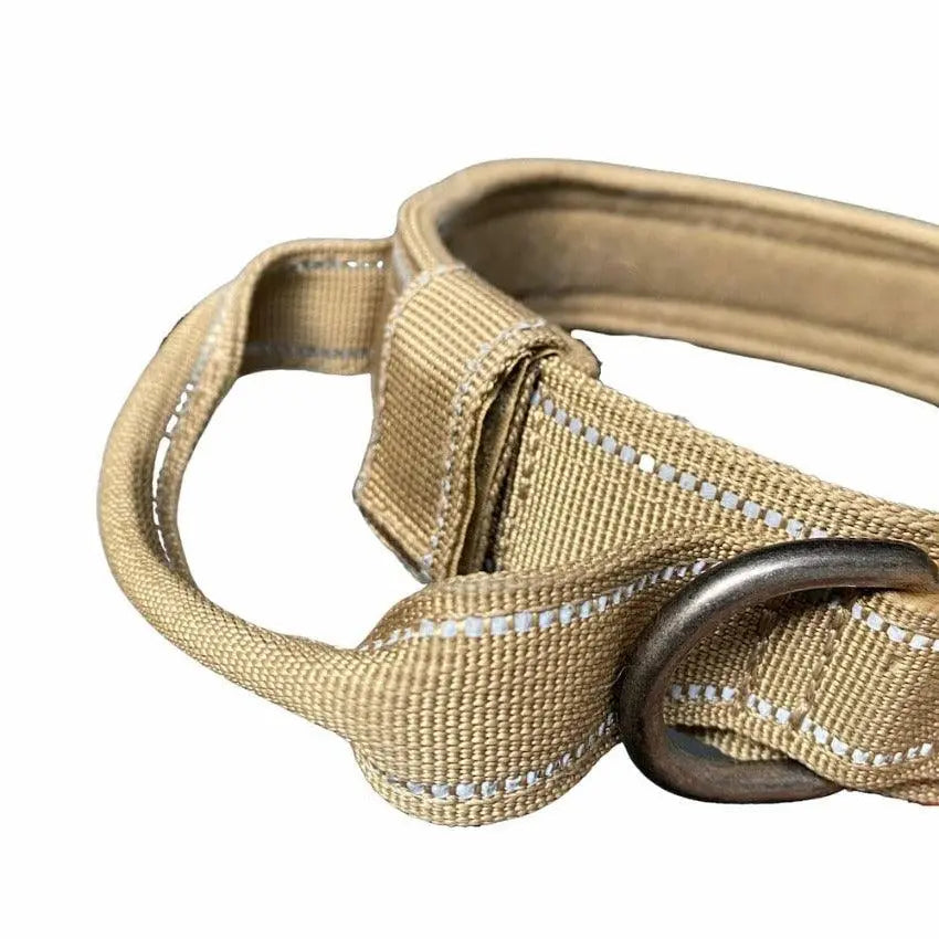 Personalized Collar With Control Handle