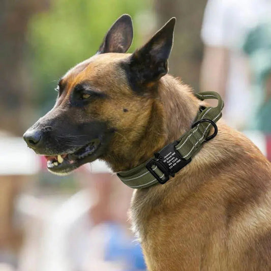 Personalized Collar With Control Handle
