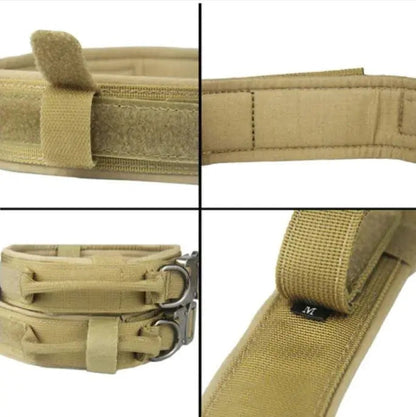 Personalized Collar With Control Handle