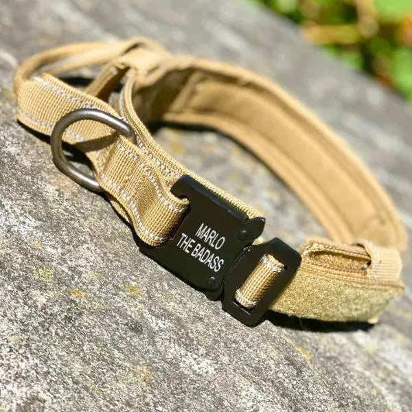 Personalized Collar With Control Handle