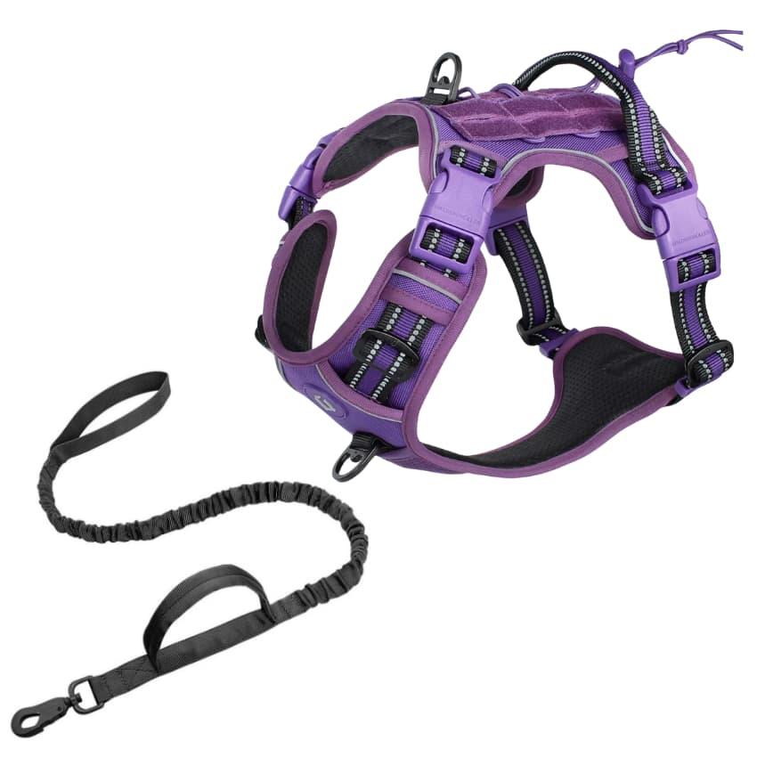 Pathfinder Harness