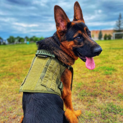 Recon Harness & Tactical Set