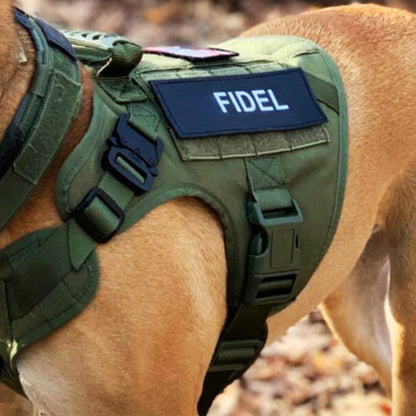 Recon Harness & Tactical Set