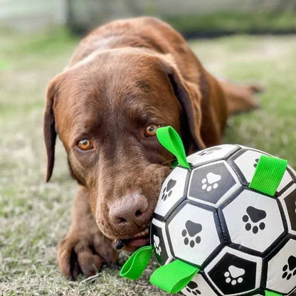 OnePaw Grab Tab Soccer Ball