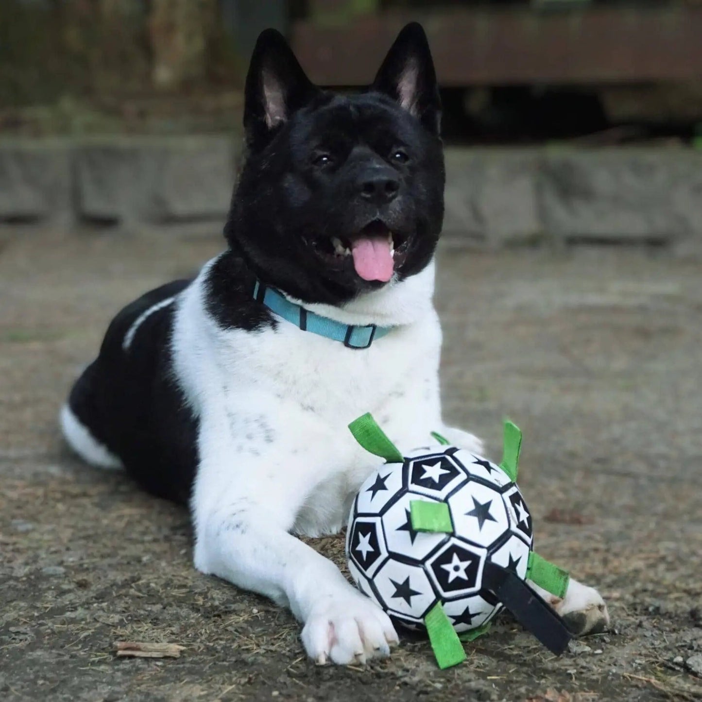 OnePaw Grab Tab Soccer Ball