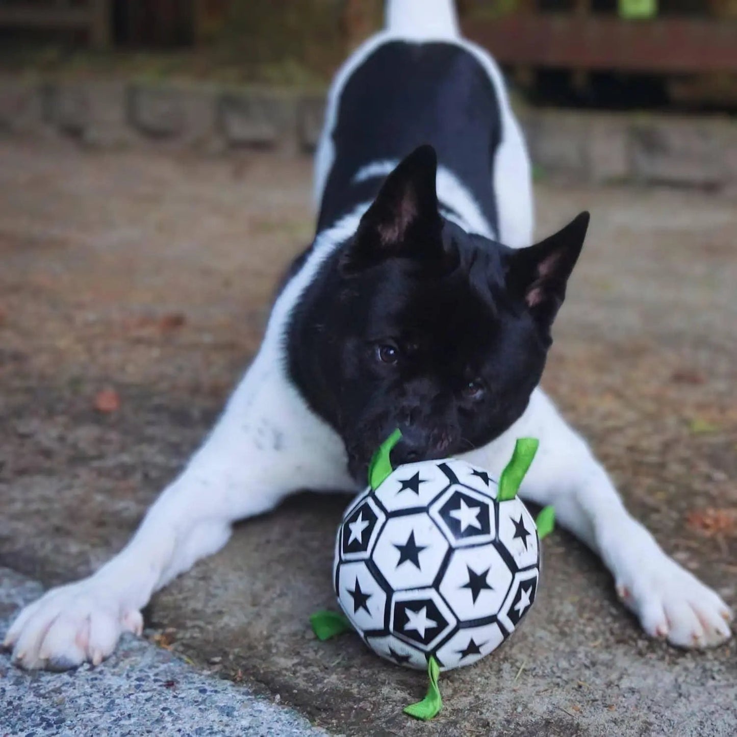 OnePaw Grab Tab Soccer Ball