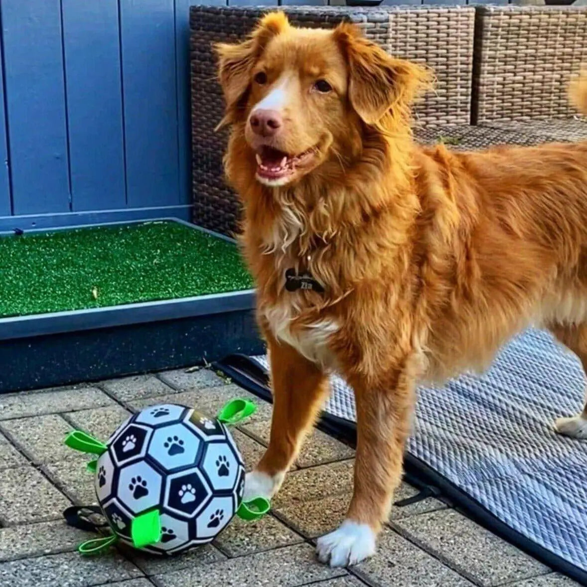 OnePaw Grab Tab Soccer Ball
