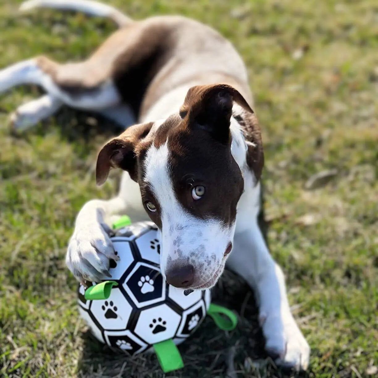 OnePaw Grab Tab Soccer Ball