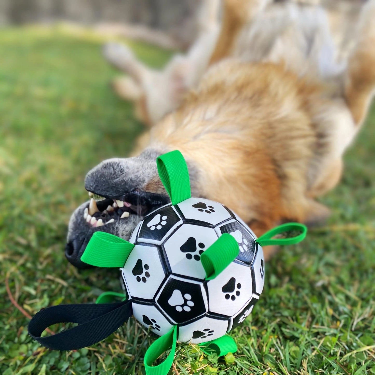 OnePaw Grab Tab Soccer Ball