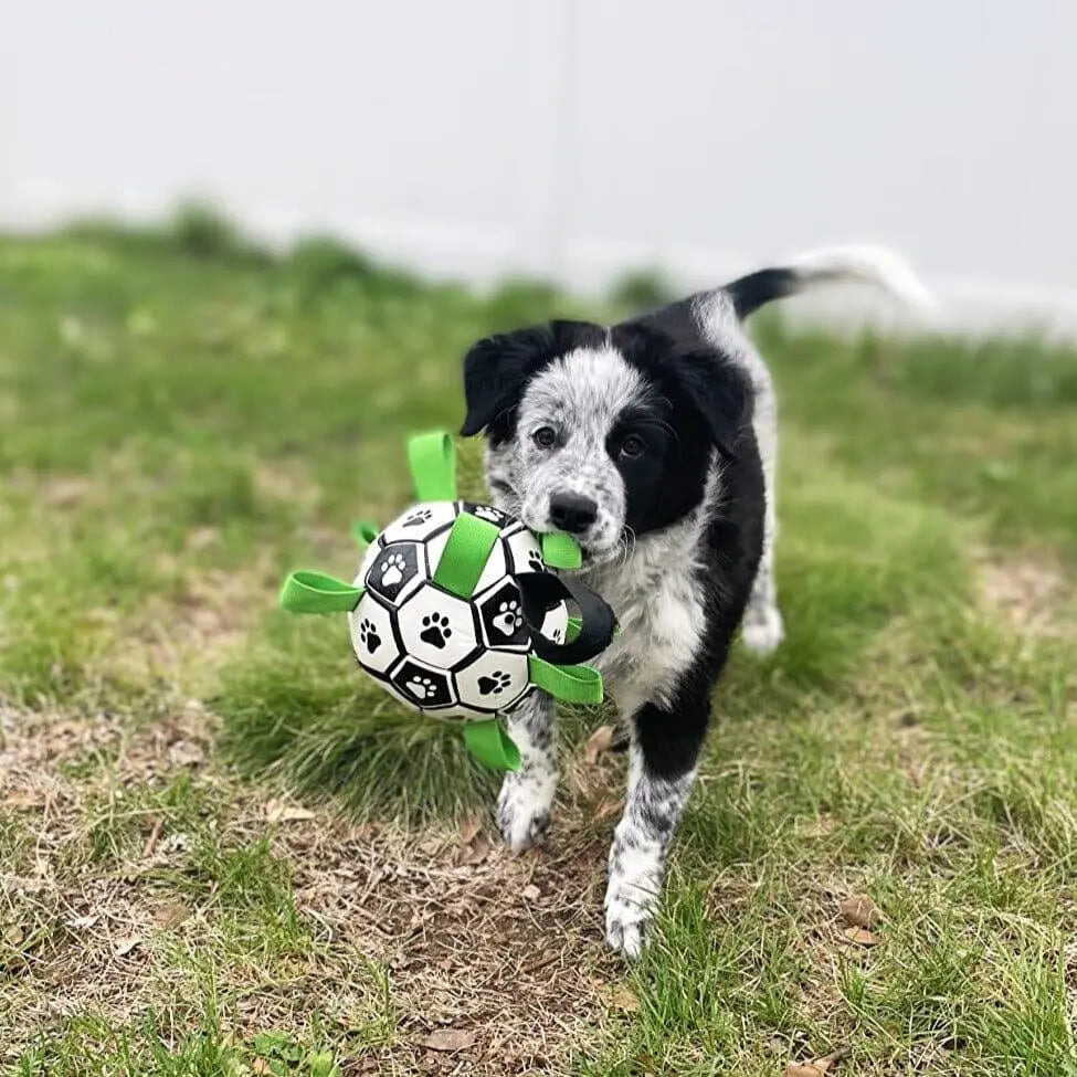 OnePaw Grab Tab Soccer Ball