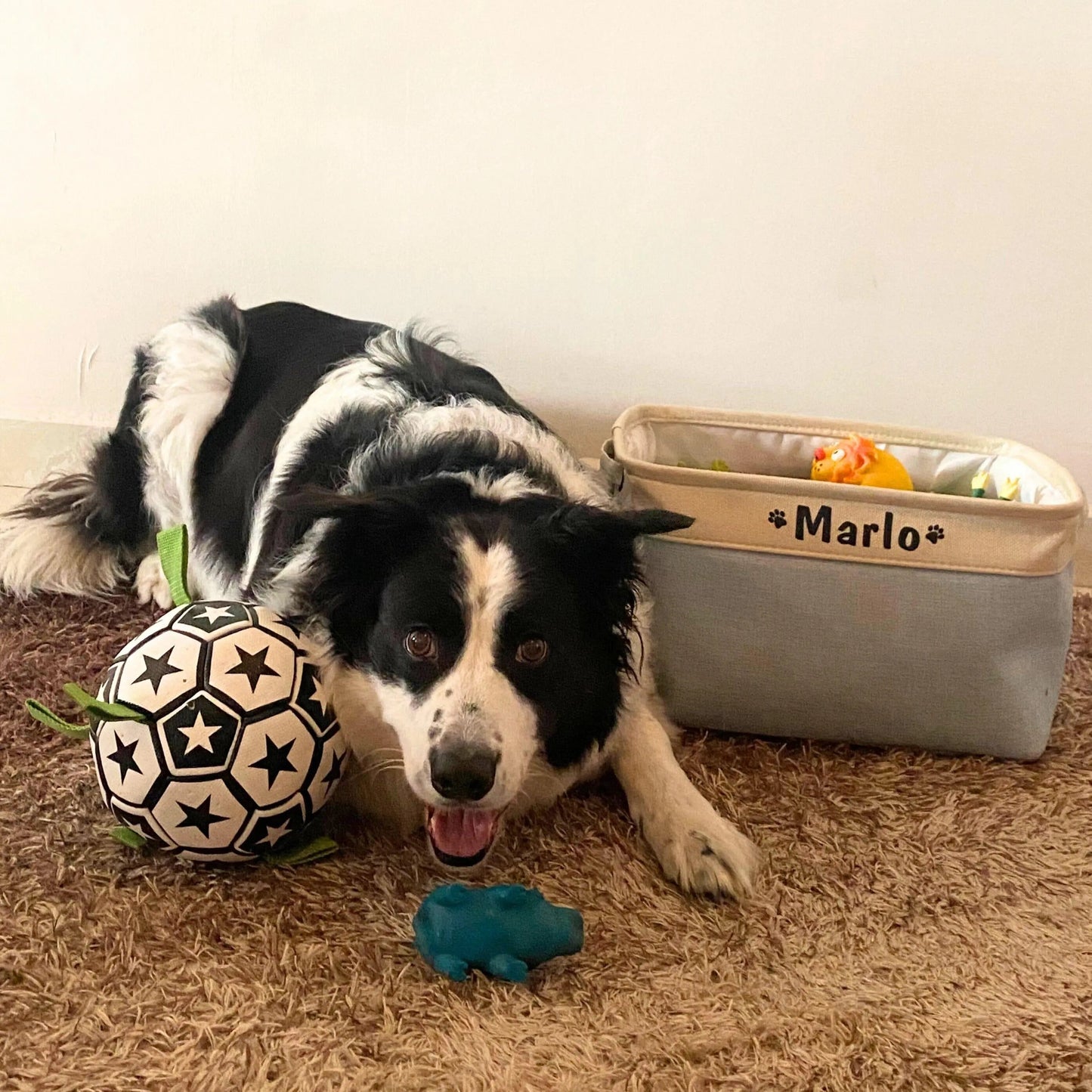 OnePaw Grab Tab Soccer Ball