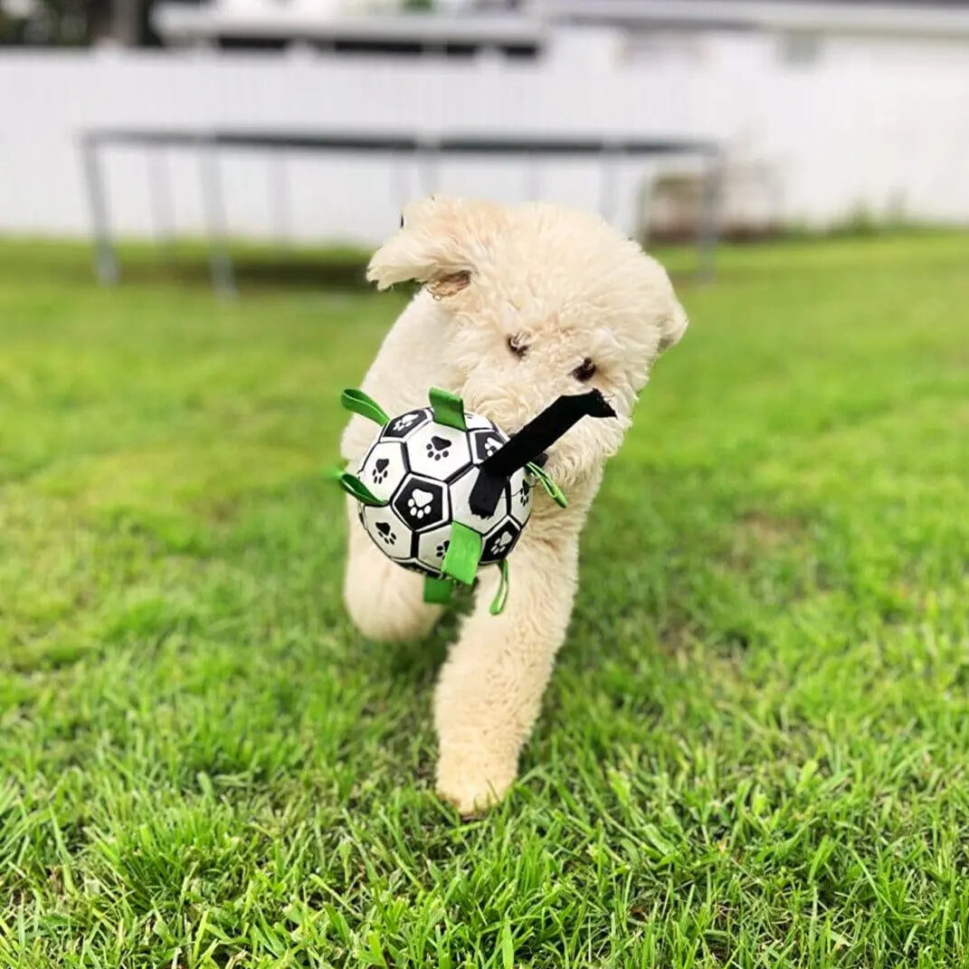 OnePaw Grab Tab Soccer Ball