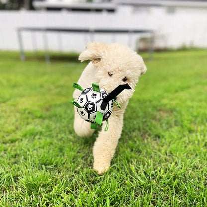OnePaw Grab Tab Soccer Ball