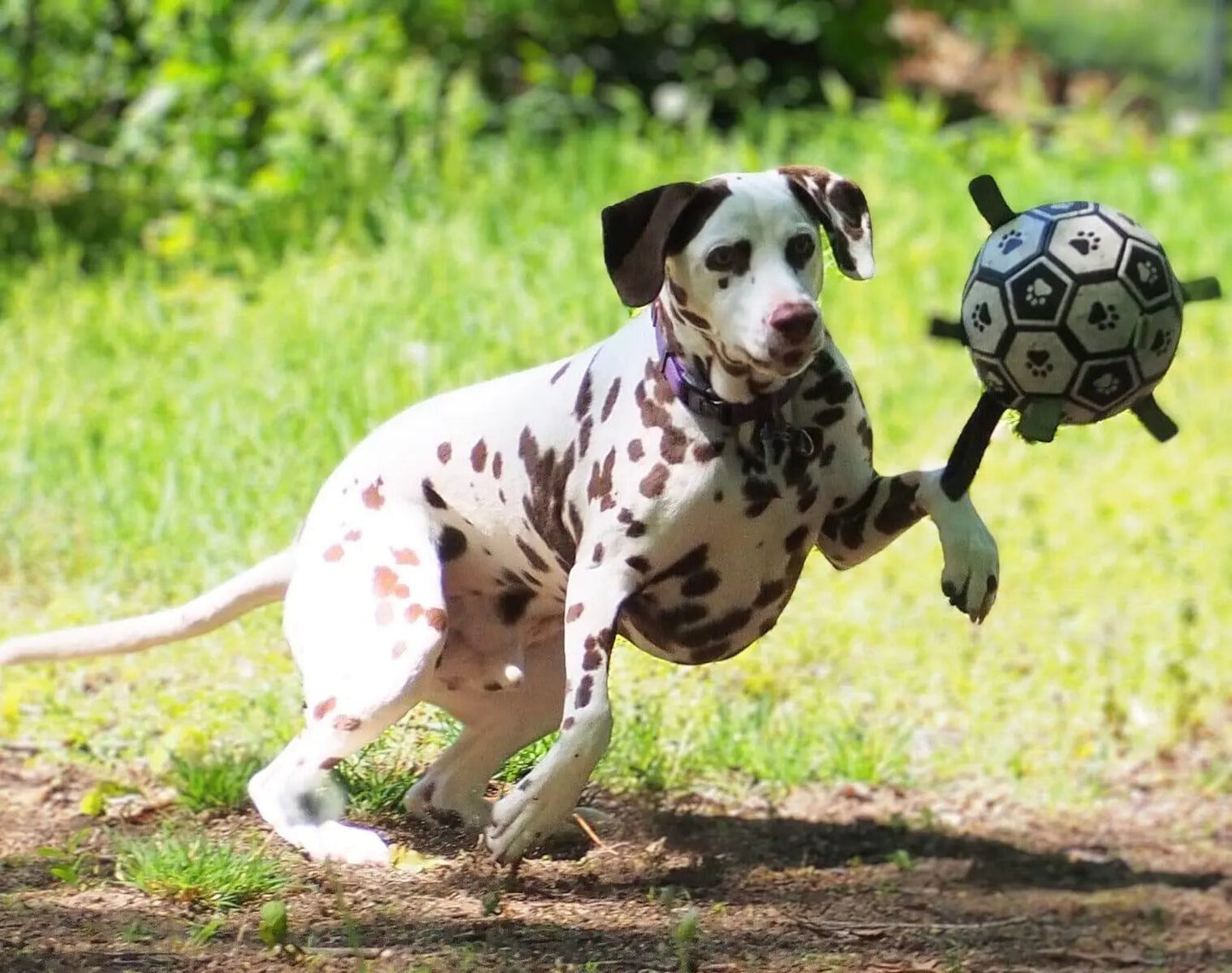 OnePaw Grab Tab Soccer Ball