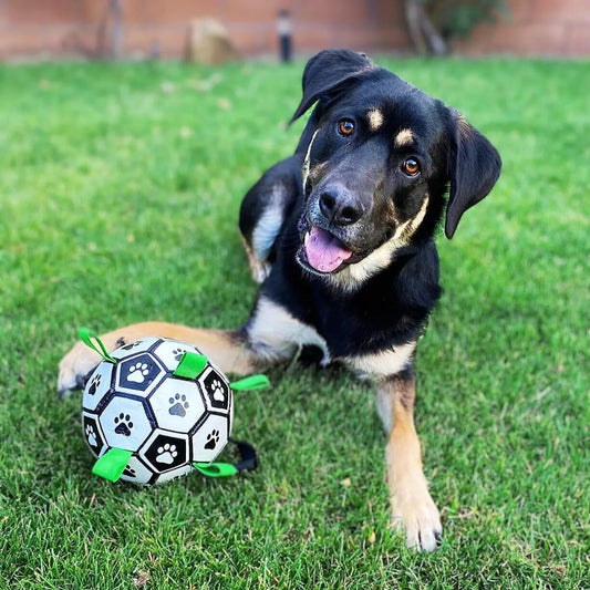 OnePaw Grab Tab Soccer Ball