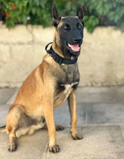 Padded Collar With Quick-Control Handle