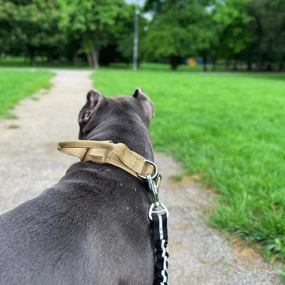 Padded Collar With Quick-Control Handle