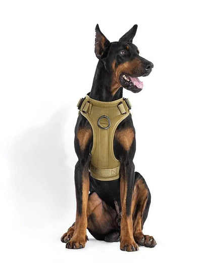Recon Harness & Tactical Set